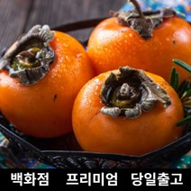 [특 등급 선별] 홍시 10kg 청도반시 청도반건시 냉동홍시 청도감 진영단감 청도아이스홍시 홍시감 홍시효능 대봉감홍시 단감 감말랭이 감효능 곶감만들기 반건시 반건시곶감 대봉