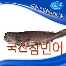 제수용 국산 참민어 반건조생선 국산참민어중32cm 민어 손질 소금간 한 생선 제사용생선