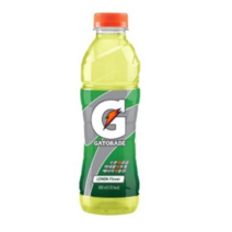 게토레이 레몬, 600ml, 2개