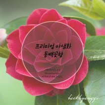 [백향기]야생화 동백꽃향 프래그런스 오일 소량포장 10ml 20ml 30ml 50ml 100ml, [디퓨저베이스] 100ml, [오일용량] 20ml