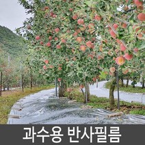 과수용 무코팅 반사필름 사과착색 과수반사필름, cpp 반사필름 0.020 x 1.0m x 500m