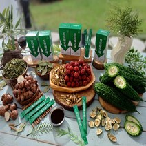 당당때문에 식후 관리 토종꾸지뽕 여주 바나바잎 각종 추출물, 90봉, 15ml