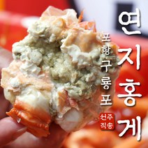 [구룡포 오늘바다]포항 제철 홍게 10마리 3KG 고급형 박달 붉은대게 수율보장, 일반형 홍게 3KG (9-11마리)