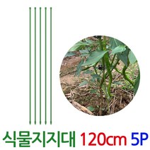 식물지지대 120cm 5개1세트 고추지지대 국화 금전수 지주대, 식물지지대-120cm-5P