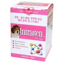 인트라젠 영양제 200정강아지영양제 애견영양제 동물영양제 강아지칼슘영양제 반려동물건강식품 애견비타민 강아지종합영양제 애견종합영양제 반려견영양제 강아지건강식품, 단품
