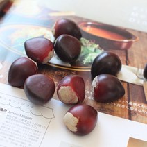 모름 알밤보따리모형24개입 밤모형 유치원과일소품