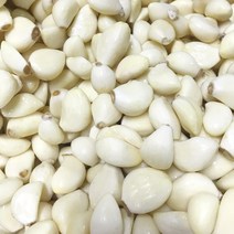 쪽마늘 대 중 소 1kg