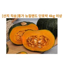 [산지 직송]통가 뉴질랜드 단호박 4kg 이상, 큰 단호박(9.5kg) (+33,000원)