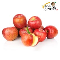 [별담농]22년 햇부사 2.5kg~10kg 가정용/주스용, 햇부사2.5kg 간식(12-14)