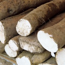 안동 마 생마 장마 5kg, 안동마 상 5kg