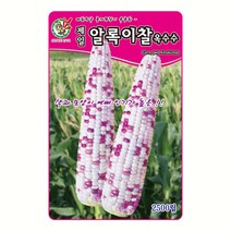 제일 알록이찰옥수수 씨앗 2500립