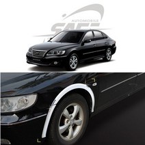 그랜져TG 럭셔리 휀다몰딩 8pcs 자동차 휀더가드