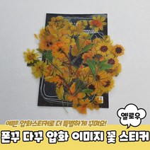 폰꾸 다꾸 압화 이미지 꽃 스티커 옐로우 꽃스티커 노트북, 상세페이지 참조, 쿠팡 본상품선택