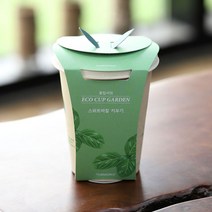 에코컵가든 스위트 바질 키우기 홈가드닝 허브 씨앗 기르기 화분 세트