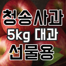 청송사과선물세트 5kg 대과 22년 햇사과 부사, 1박스, 청송사과선물세트 5kg 대과 (12과~14과)