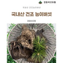 (경동버섯유통 송이 능이) /건조능이버섯 국내산 건조 능이버섯100g, 1개