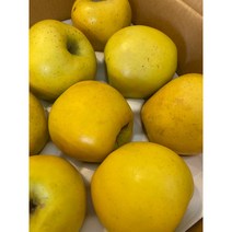 JJ에 시나노골드 사과 5kg 맛나는 사과 꿀사과 5kg, 사과 (가정용) 중소과 19-21과 5kg