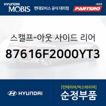 아반떼AD/뉴 아반떼AD 순정 사이드미러 커버(백미러 스캘프) 좌측(아이언그레이) (87616F2000YT3)