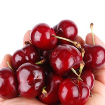 [항공직송]프리미엄 킹체리 500g/1kg (9R-9.5R), 체리 (9R-9.5R) 1kg