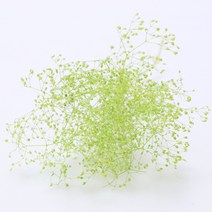 앨리플라워 프리저브드 소량 판매 드라이플라워 디퓨져만들기, 1-02미니안개 엔젤그린