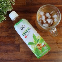 전남 완도 비파잎차 음료 500ml x 20병(1박스), 비파잎차 500mX20병, 단품