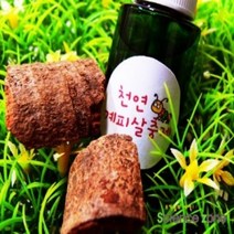 천연계피살충제(HS)문구용품 장난감 문구도매 학습준비물 만들기용품 DIY용품 공예 완구, 본상품