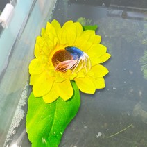 베타꽃침대 자이언트베타침대 둥둥 하프문, 해바라기침대(소)