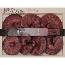[문상영 버섯] 국산 유기농 영지버섯, 1box, 1kg 원형