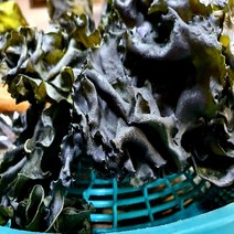청하건어물 완도 청정 바삭바삭한 햇 미역귀400g, 1kg