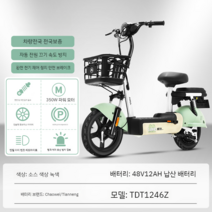 미니 전기자전거 접이식 유아동승 라이딩 등원 아기 출퇴근48V 12AH, 12아, B