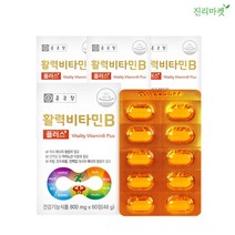 [진리마켓] 종근당 활력비타민B 플러스 120정 4개월분 활력 충전 비타민 B군 체력관리 체내에너지 생성 도움 영양제, 120정 x 2개월분