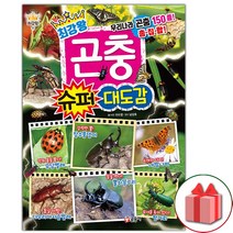 사은품+최강왕 곤충 슈퍼 대도감 책