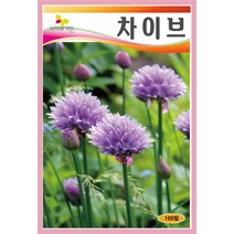봄파종허브 씨앗] 차이브 100립