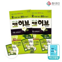 광동제약 내가그린 빠른허브 염색약 카페헤어칼라, 빠른허브1호자연흑갈색(파우치) 2개+헬시링크마스크1팩