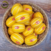 프리미엄 맛가득 성주꿀참외 망고참외 꿀참외 참외 2Kg 5Kg 10Kg, 프리미엄 성주꼬마참외 13-14과 2Kg