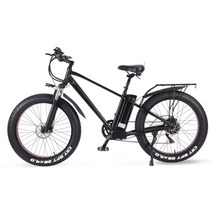 전기 자전거 750W 48V 24AH ebike 산악 자전거 지방 타이어 전자 자전거, 15AH, 중국, 15AH