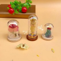 15X 미니 레인보우 현대 공예 유리 돔 커버 드라이 플라워 꽃병 나무 베이스 풍경 인형 모델 디스플레이 작품, 11 20x50mm NO2 Cap, 01 15pcs