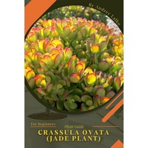 (영문도서) Crassula ovata (Jade plant): Plant Guide Paperback, Independently Published, English, 9798389944831