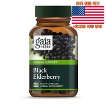 Gaia Herbs 블랙 엘더베리 Elderberry 60캡슐 영양제 가이아 허브 미국 직구 사은품 추가증정