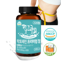 락토페린 고함량 장용성 프리미엄 락토페린정 뉴질랜드산 HACCP, 1통60정(2개월)