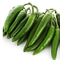 햇살조은 국내산, 모닝아삭이고추, 500g