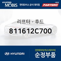 본네트 리프터(쇼바) (811612C700)-현대모비스 부품 공식대리점 온라인쇼핑몰 파츠로 투스카니