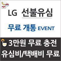 프리텔레콤 LG선불폰 선불유심 유심개통, 1gb, 90일