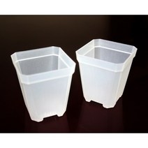 (국내발송) 투명삽목화분 - 슬릿분 롱슬릿분 삽목분 사각화분 플분 투명포트 10개 20개 30개 40개, 사각(소) 10개