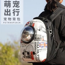애완 동물 고양이 가방 대용량 외출 이동 배낭 강아지 공간 산책 백팩 펫백 용품, B
