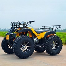 오토바이 사륜 4륜 125cc 버기카 소형 팜트럭 ATV 효도선물, 5. 추천 패키지(빅불)_완전조립