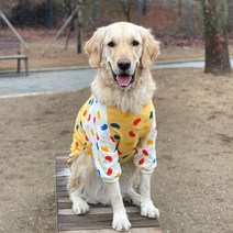 대형견옷 티셔츠 중형견옷 강아지봄옷 실내복 면티, 겨자