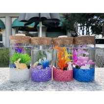 마리모키우기 국산 DIY 유리어항, 블루, 조개, 파랑