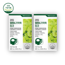 고함량 징코 기억력 혈액순환 혈행 도움 약2개월 뇌 두뇌 손발 다리 영양제 에 좋은 은행잎추출물 메디 빌로바 부모님 감퇴 식약청 식약처 청소 여성 남성 플러스 세현코리아 사은품, 60정, 2박스