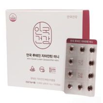 안국건강 안국 루테인 지아잔틴 미니 캡슐선택, 총60캡슐( 60캡슐 x 1박스 ) / 2개월분